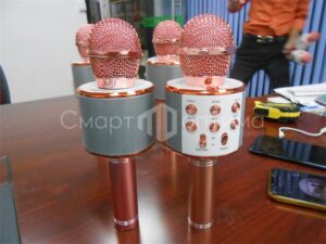 Поставка микрофона караоке WS858 из Китая под ключ